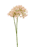 Truly Faux Hydrangea Stem, Blush Pink