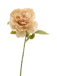 Truly Faux Peony Stem, Blush Pink
