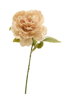 Truly Faux Peony Stem, Blush Pink
