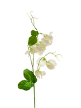 Truly Faux Sweet Pea Stem, White