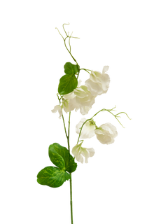Truly Faux Sweet Pea Stem, White