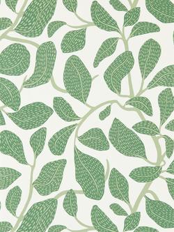 Scion Sweet Bay Wallpaper, Forest