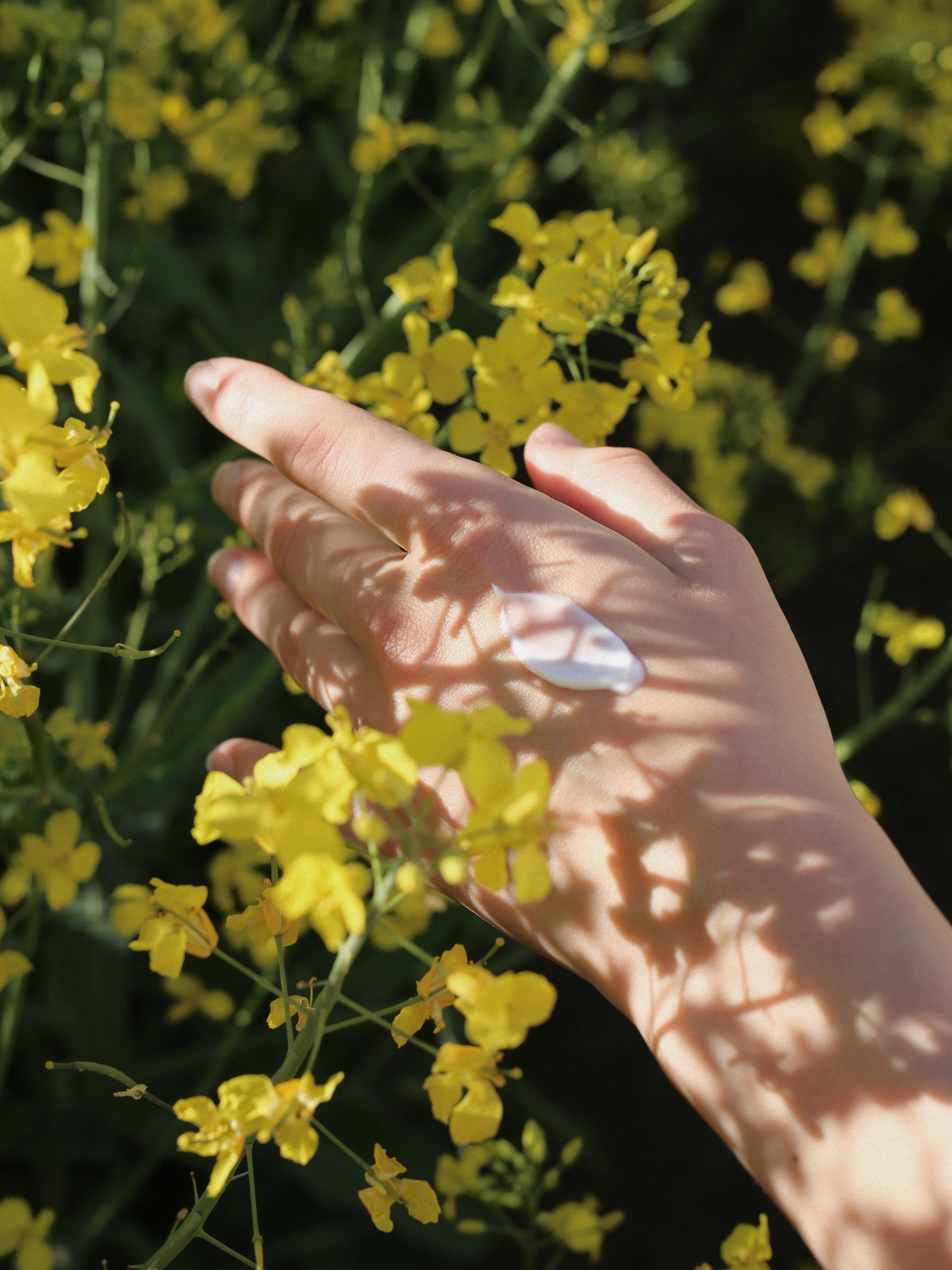 Product image 6 of 6, which shows SKANDINAVISK Sea Mini Hand Creams, Set of 3