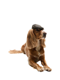 Barbour Dog Waxed Flat Cap, Green Olive - view 2, Green Olive
