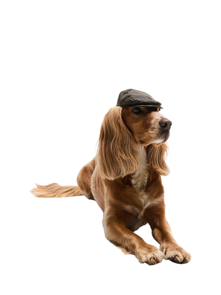 Barbour Dog Waxed Flat Cap, Green Olive - view 2, Green Olive