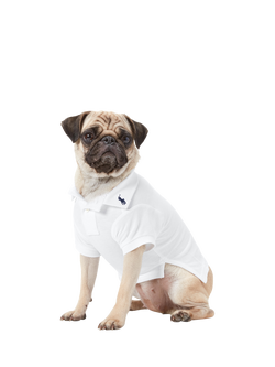 Polo Ralph Lauren Cotton Mesh Dog Polo Shirt, Blue Navy, White/Multi