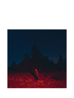 Rough Trade Phoebe Bridgers - Punisher LP, Multi Multi