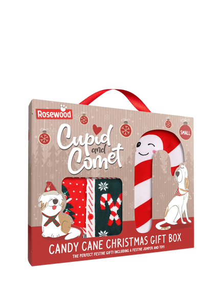 Rosewood Dog Candy Cane Christmas Gift Box, Medium, Multi