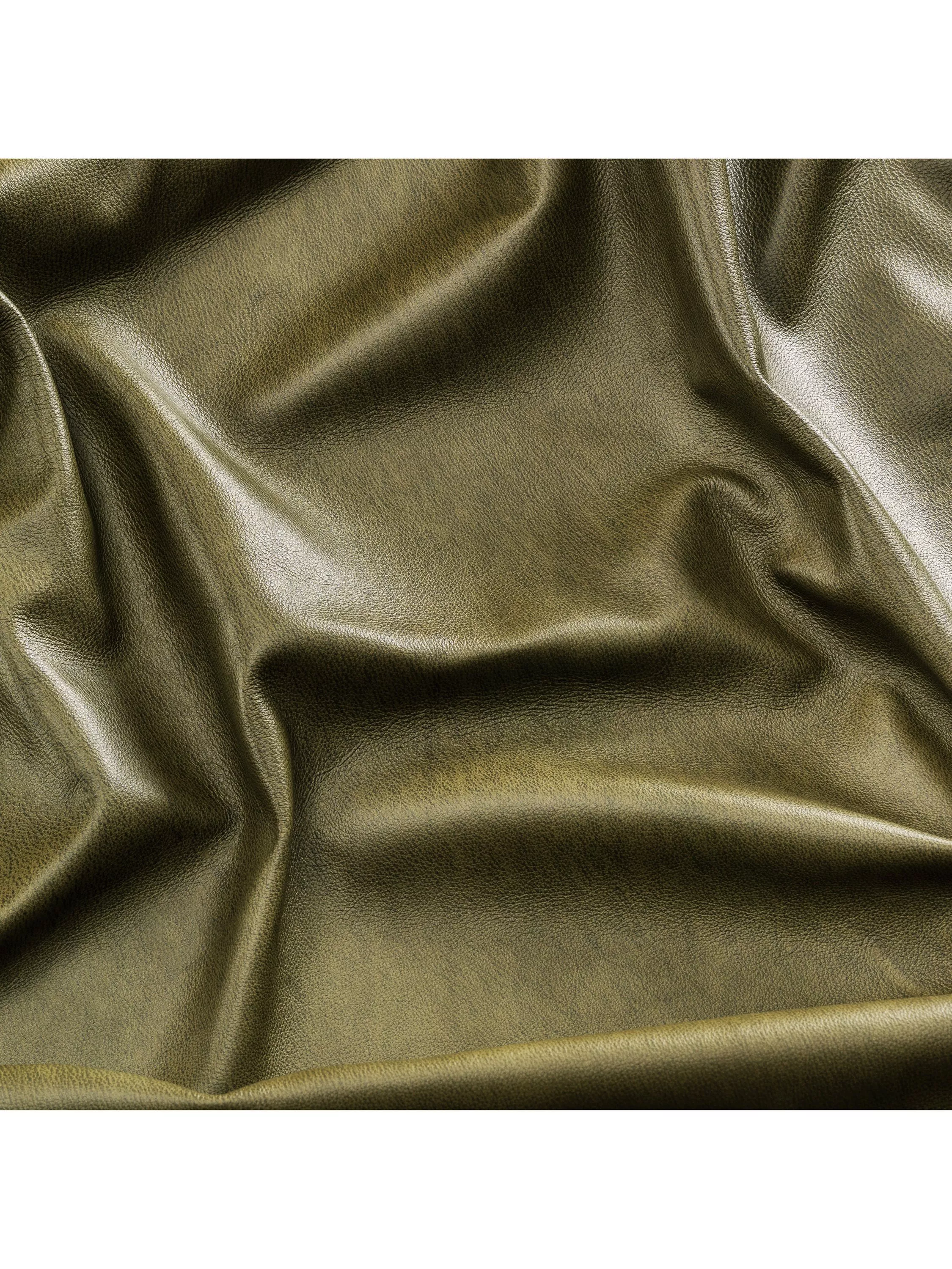 Adventurer Desert Cacti 