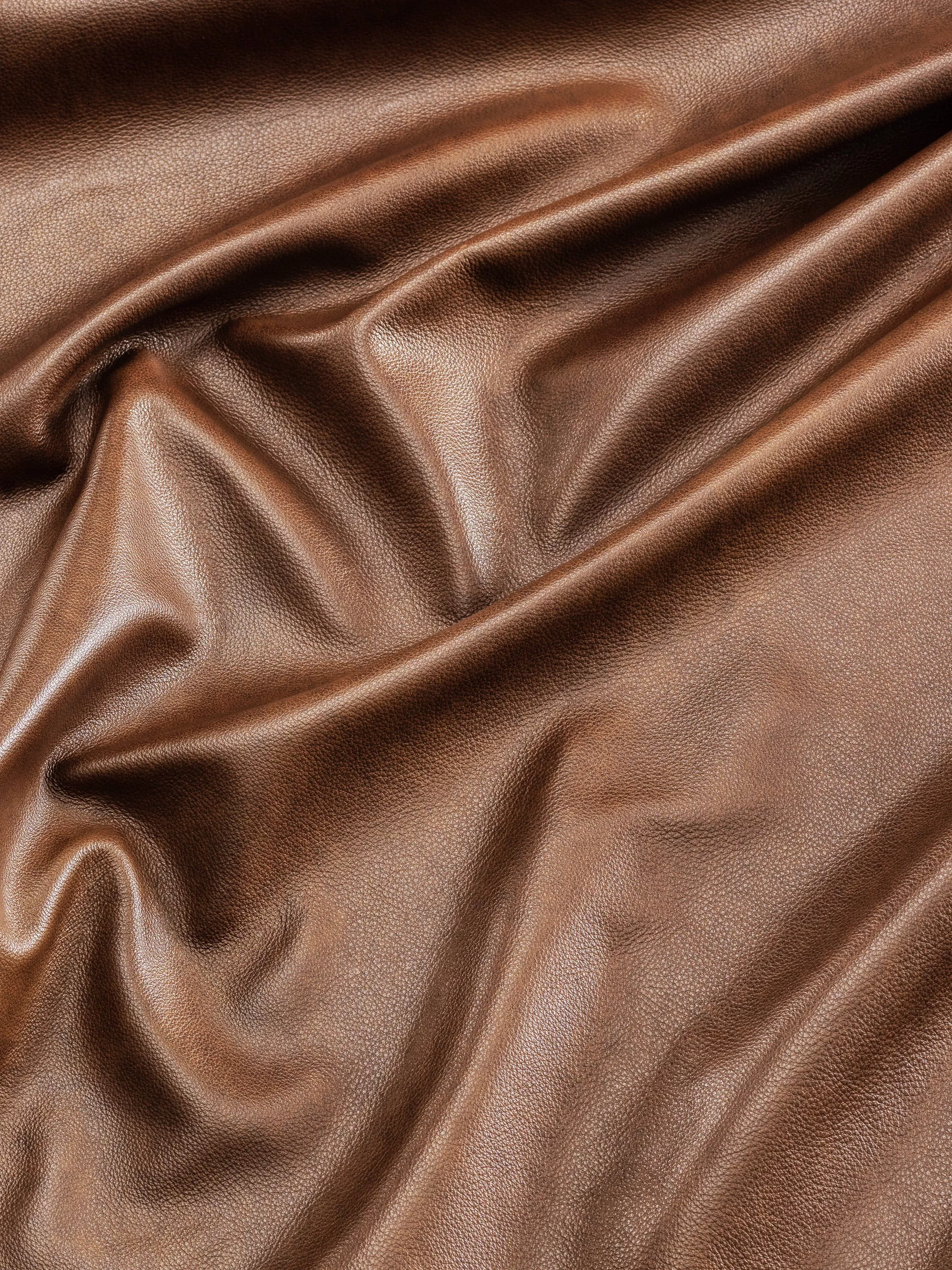 Adventurer Canyon Hawk 