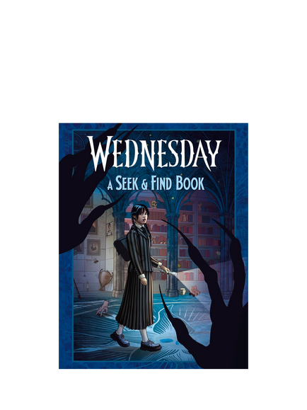 Wednesday Seek and Find Kids' Book, Multi