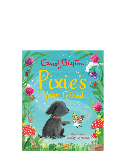 Pixie's New Friend by Enid Blyton, Multi