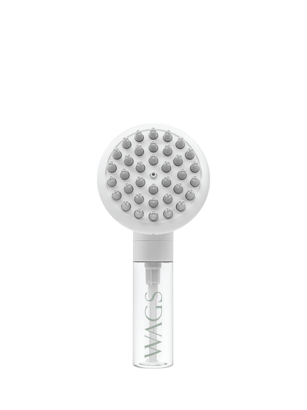 WAGS Dog Massage Brush, White, White