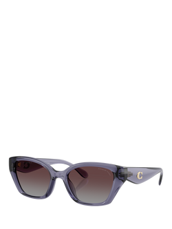 Coach HC8434 Women's Polarised Irregular Sunglasses, Transparent Violet/Violet Gradient, Transparent Violet/Violet Gradient