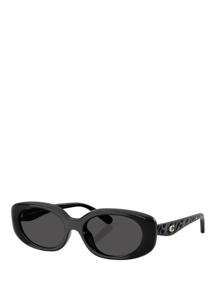 Coach HC8443 Women's Oval Sunglasses, Black/Grey, Black/Grey