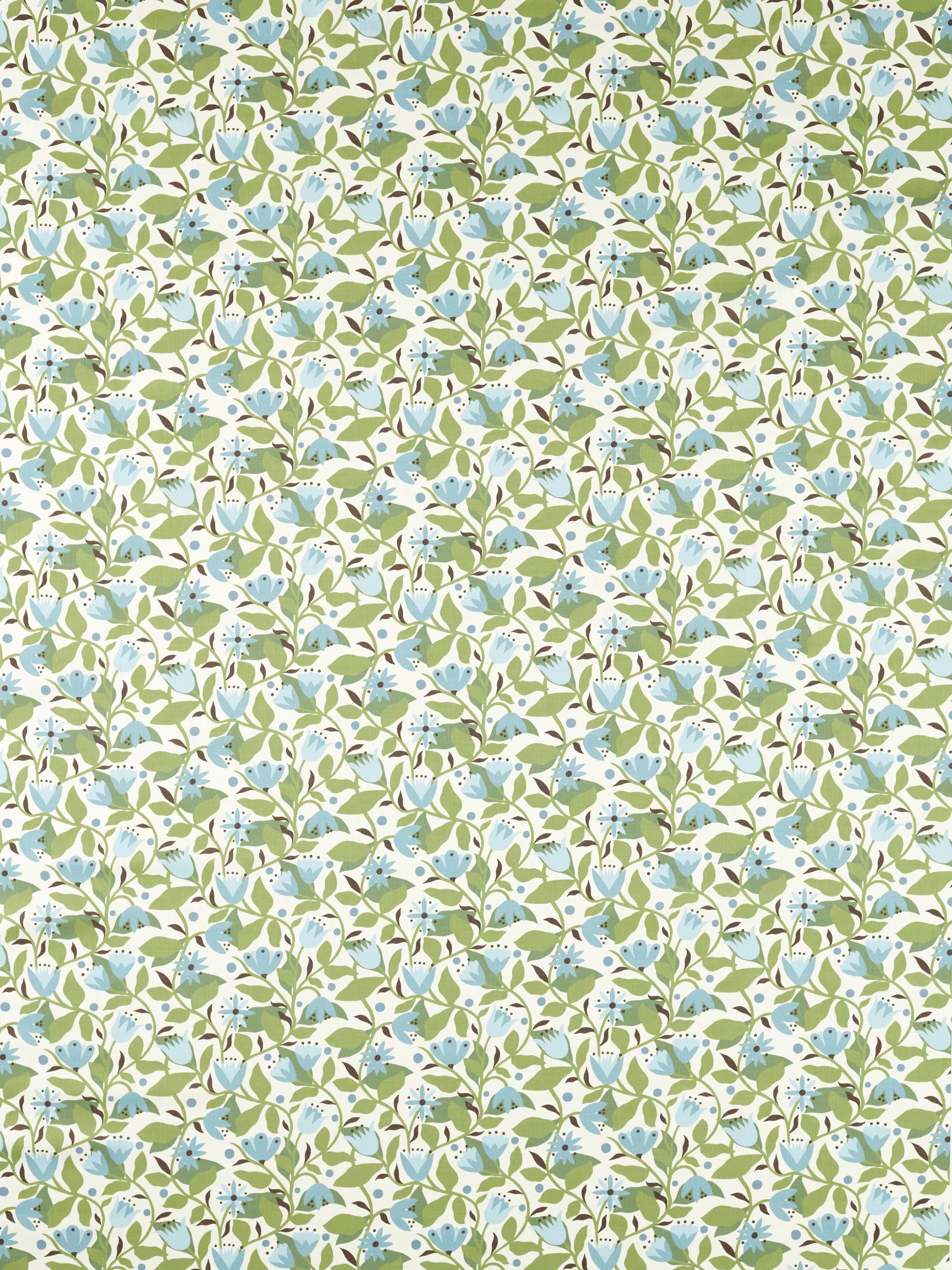 Cornflower  - Out of stock