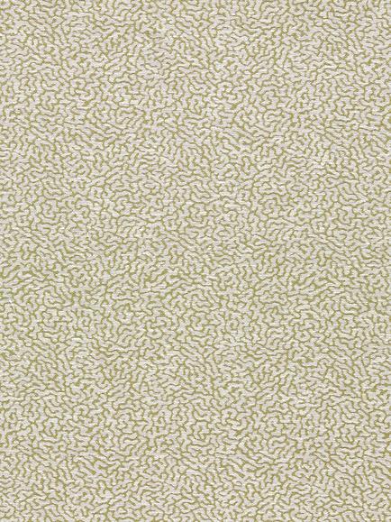 Scion Duckweed Furnishing Fabric, Lawn