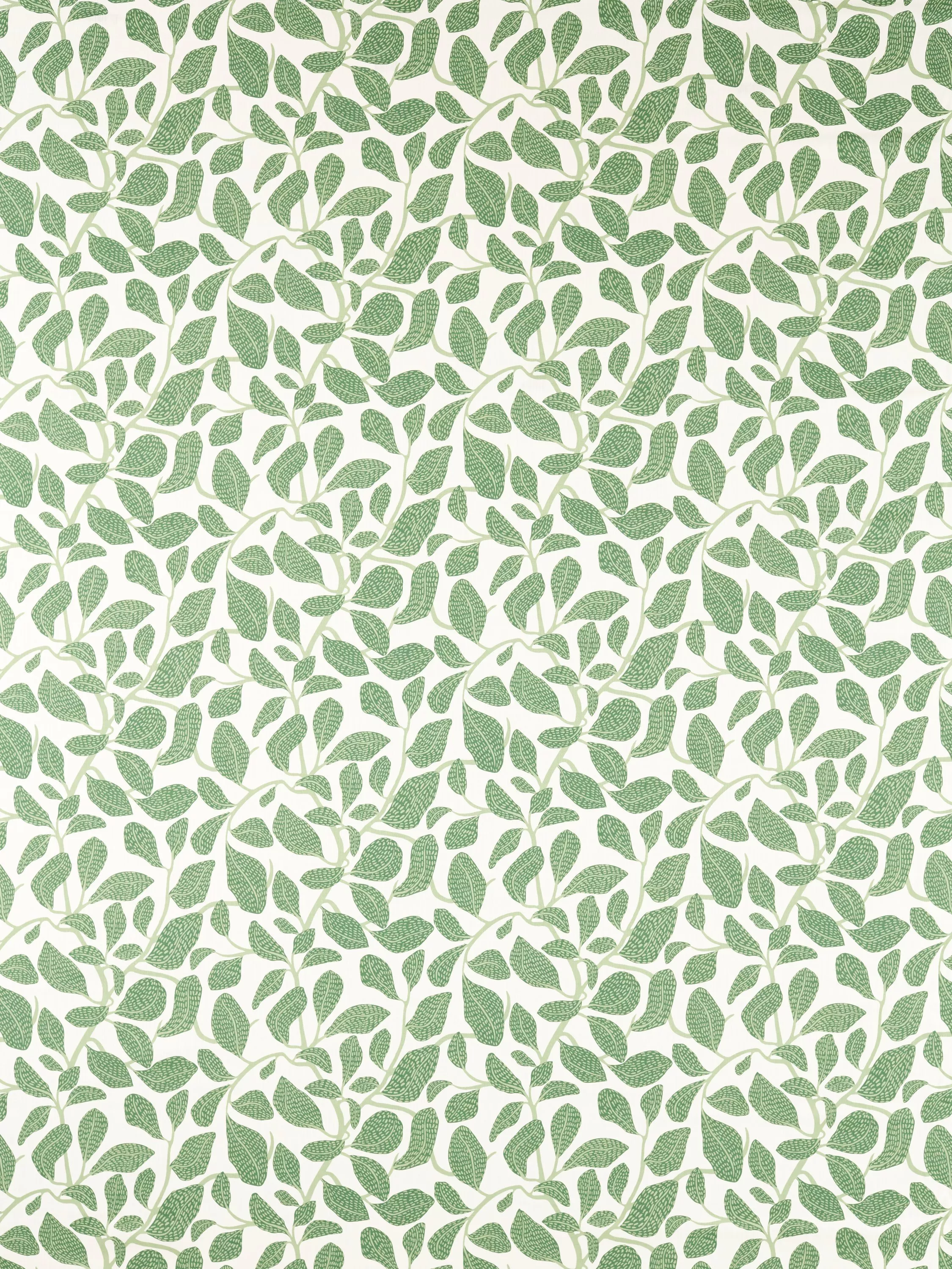 Forest  - Out of stock