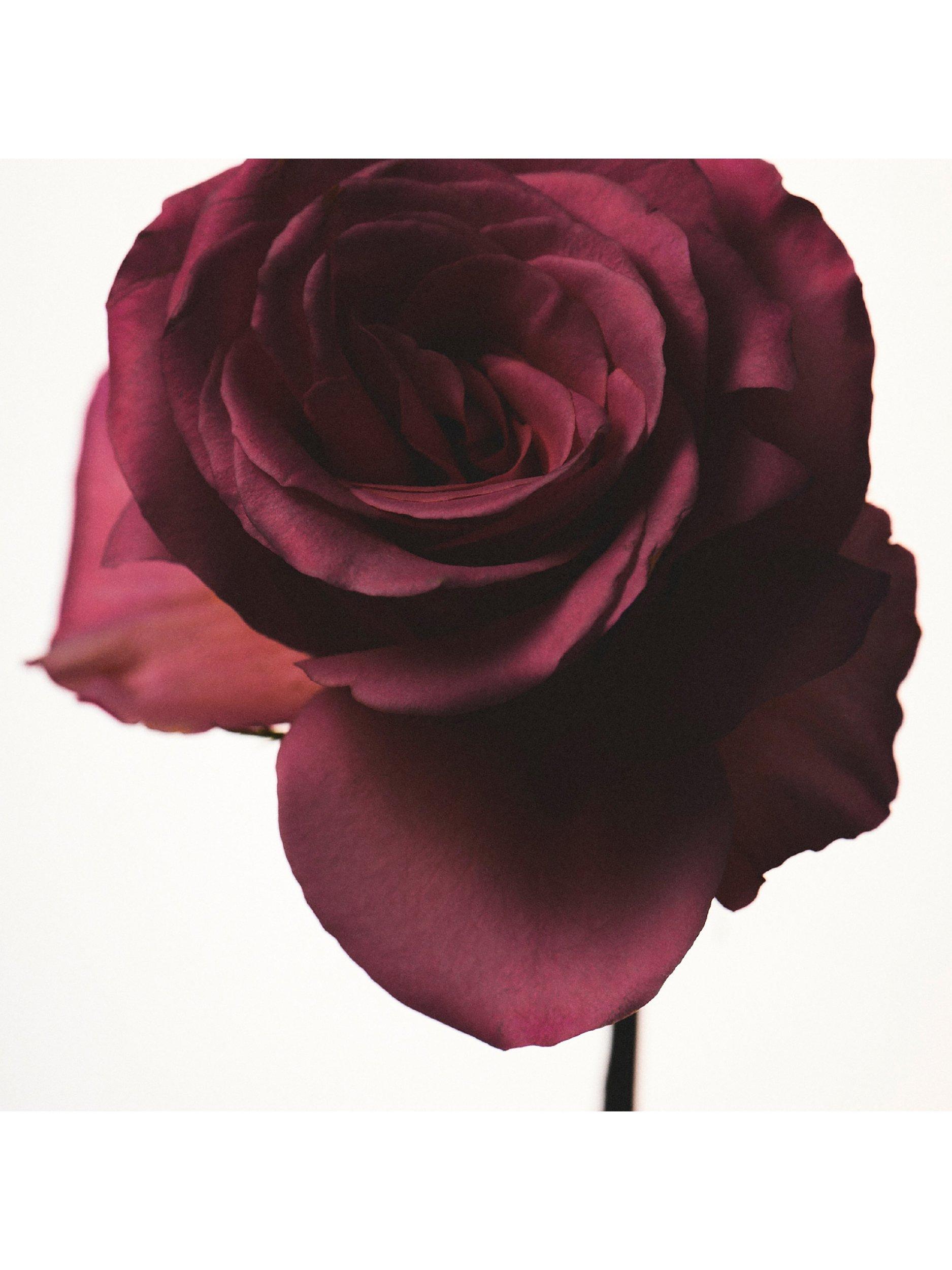 Product image 4 of 7, which shows Fenty Beauty Eau de Parfum Travel Spray, 10ml