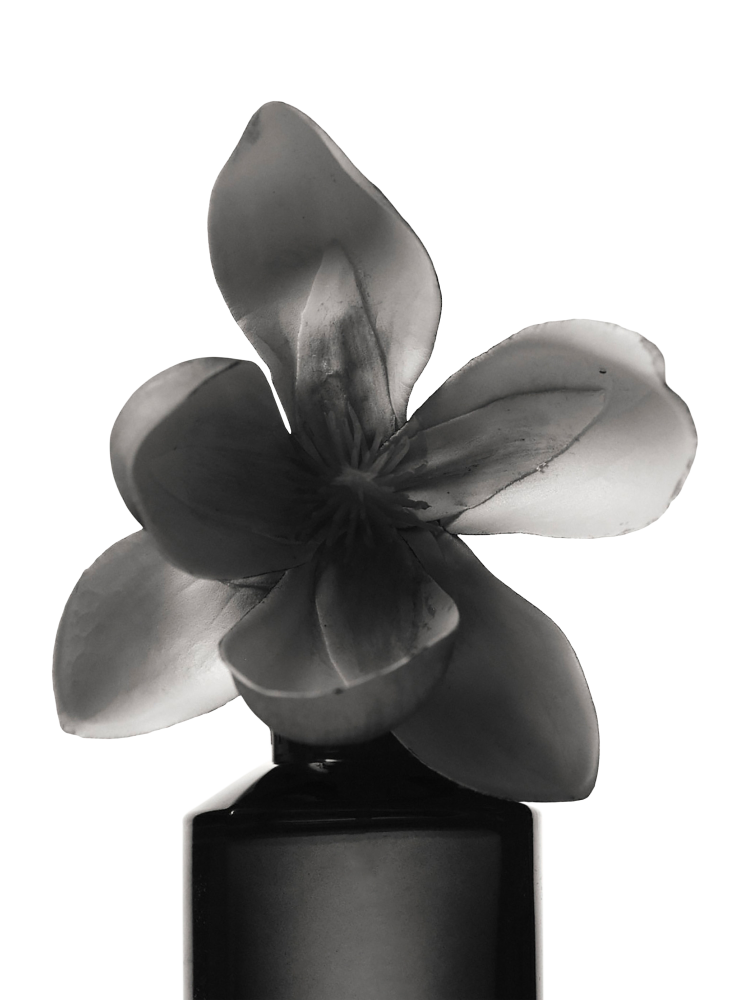 Product image 6 of 7, which shows Fenty Beauty Eau de Parfum Travel Spray, 10ml