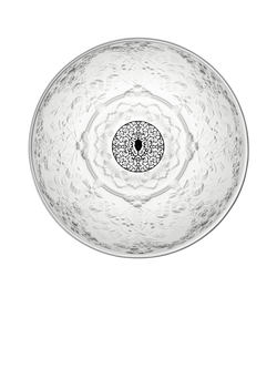 Flos Skygarden Pendant Ceiling Light, Glossy White - view 2, Glossy White