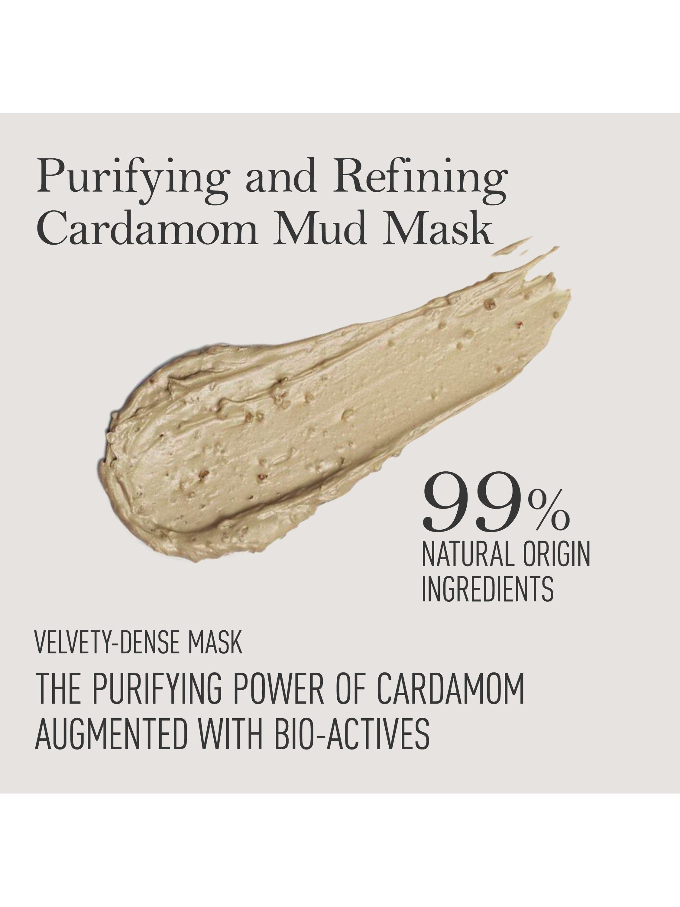 Product image 4 of 6, which shows Kama Ayurveda Vanasara Cardamom Purifying Mud Mask, 50ml