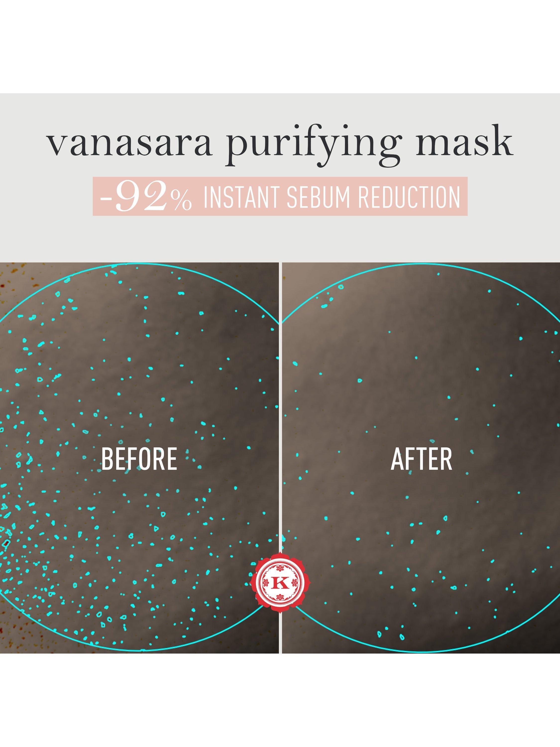 Product image 5 of 6, which shows Kama Ayurveda Vanasara Cardamom Purifying Mud Mask, 50ml