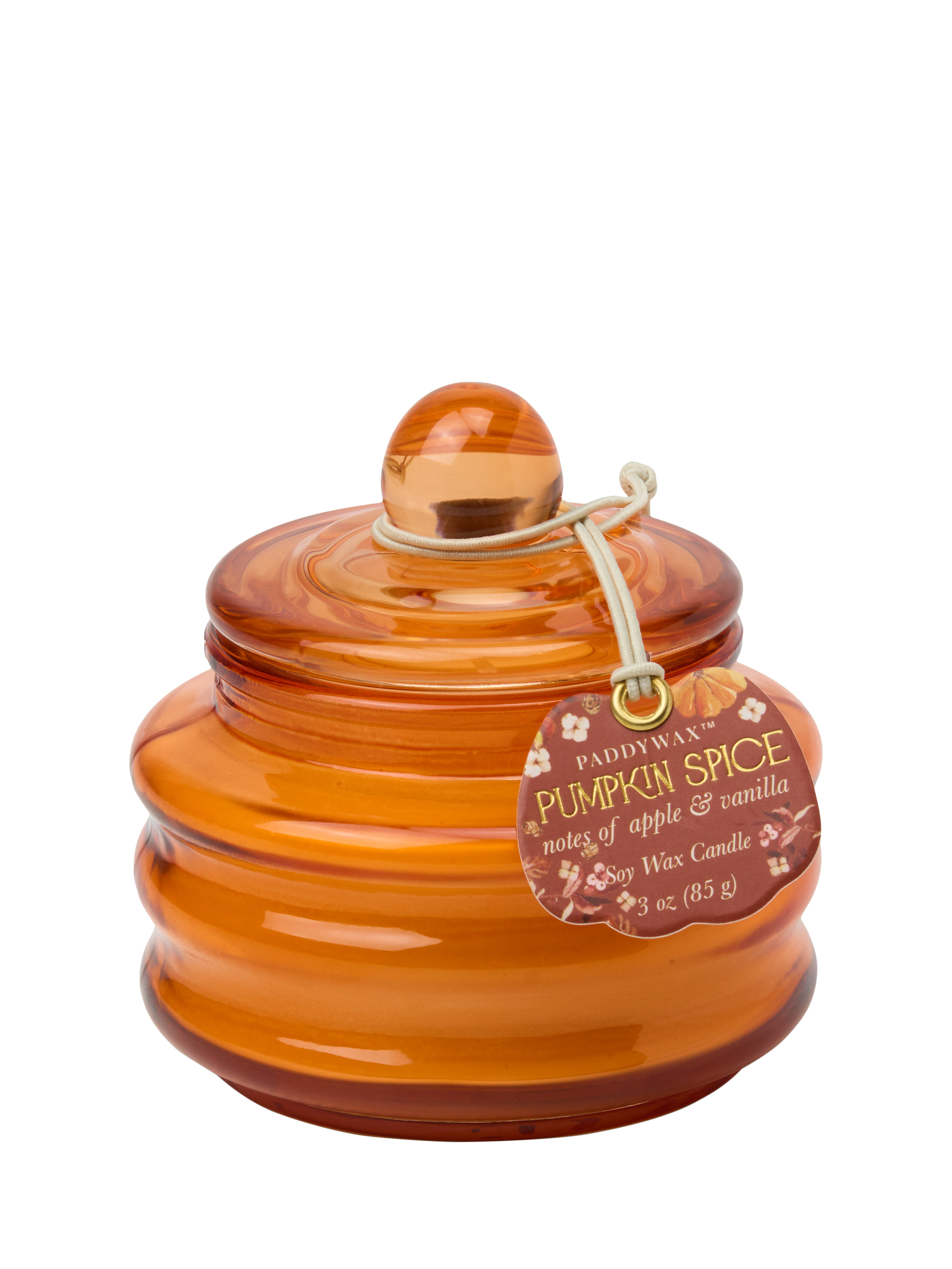 Paddywax Pumpkin Spice Glass Scented Candle, 85g