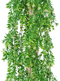 Vistafolia Artificial Buxus Trailer Plant, H200cm, Green - view 2, Green