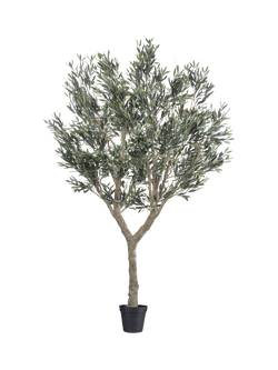 Vistafolia Artificial Cielo Verdi Olive Tree in Pot, 270cm, Green, Green