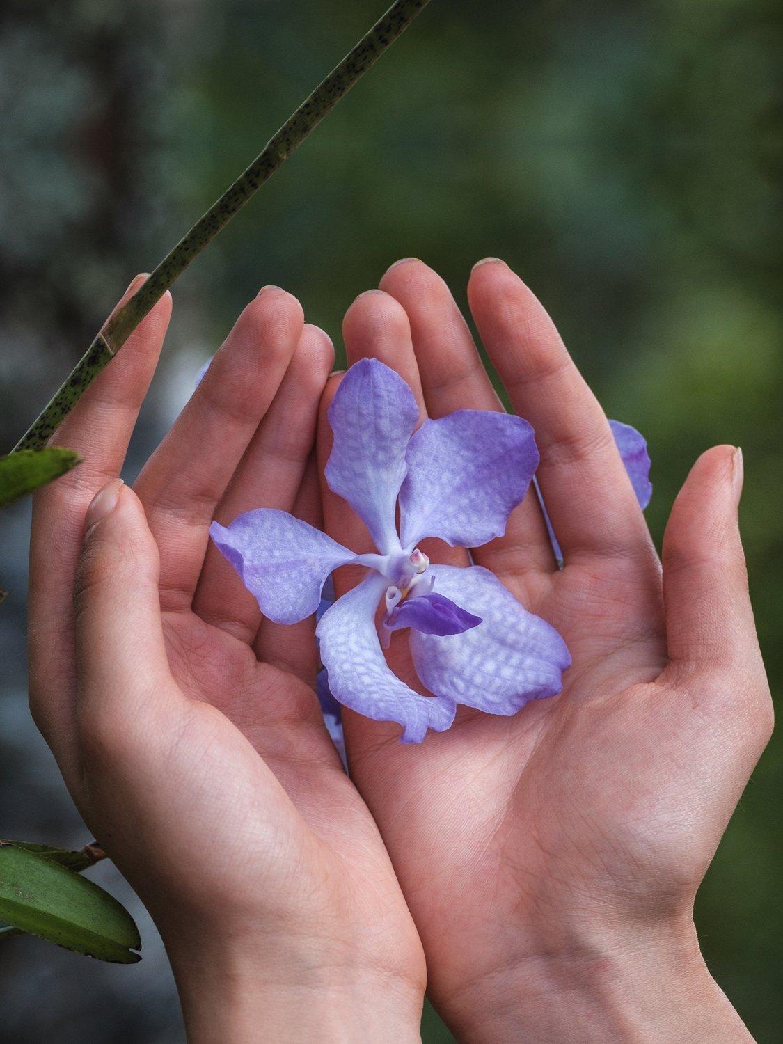 Product image 9 of 9, which shows Guerlain Orchidée Impériale The Longevity Rich Cream Refill, 50ml