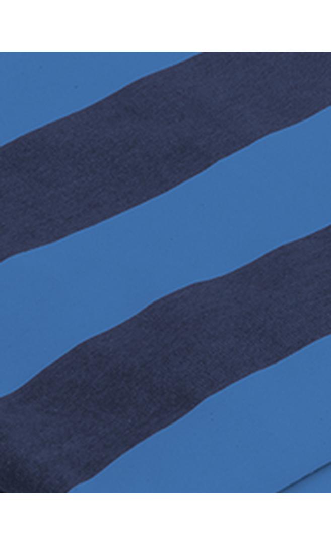 Coastal Blue Stripe