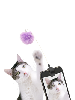 Kikkerland Kitty Phone Clip, Assorted - view 2, Multi