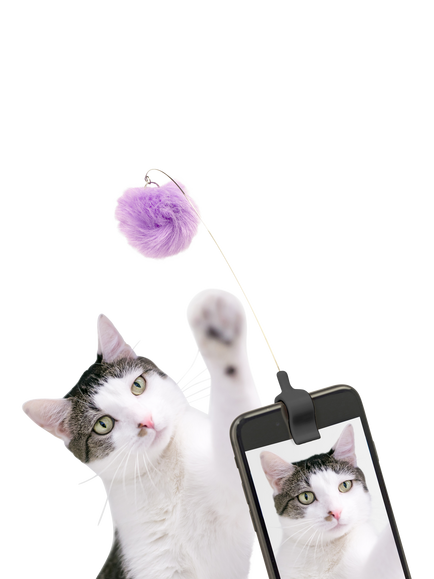 Kikkerland Kitty Phone Clip, Assorted - view 2, Multi