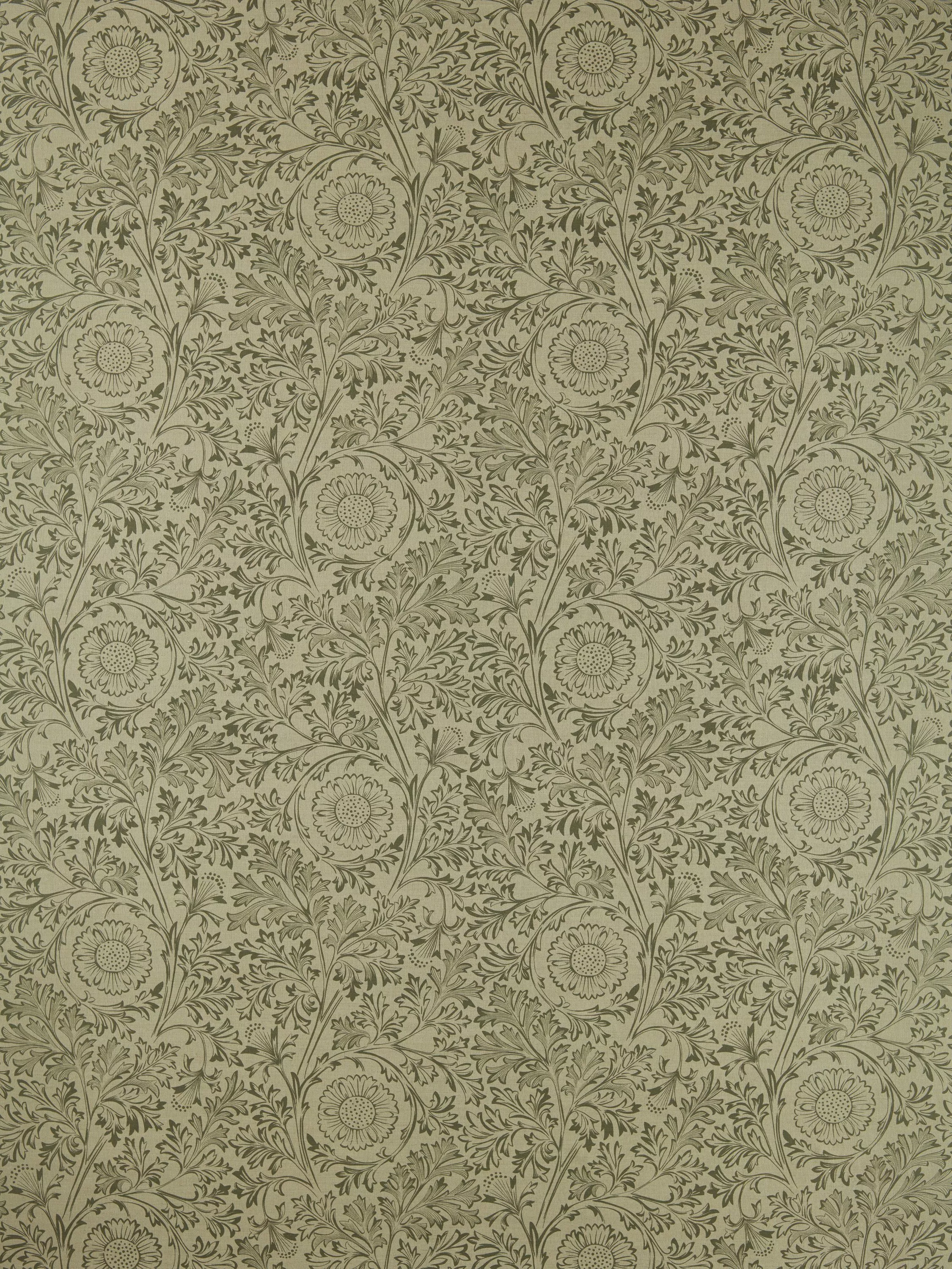 Bayleaf  - Out of stock