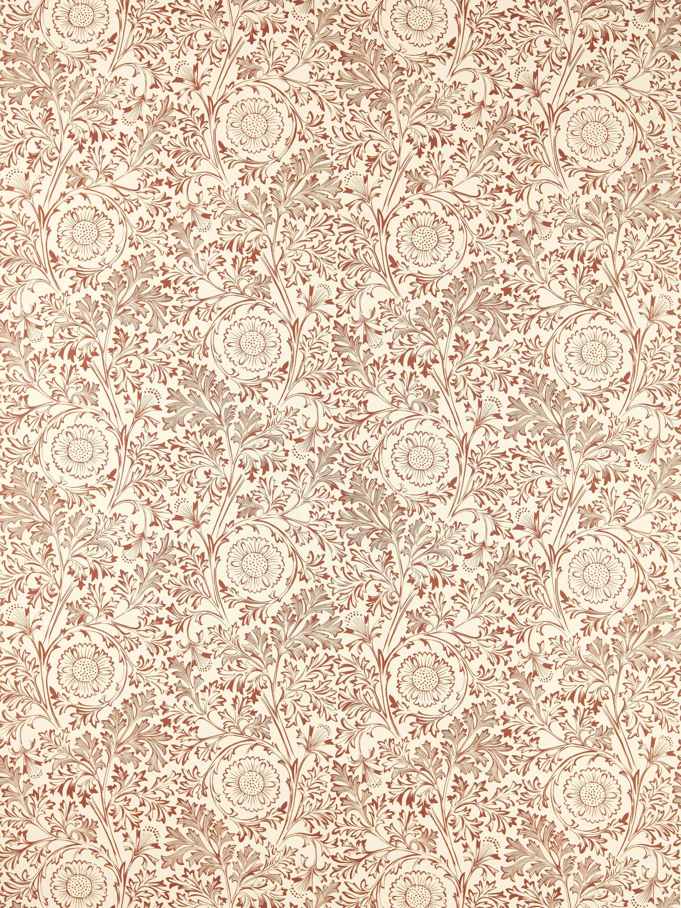 Russet  - Out of stock