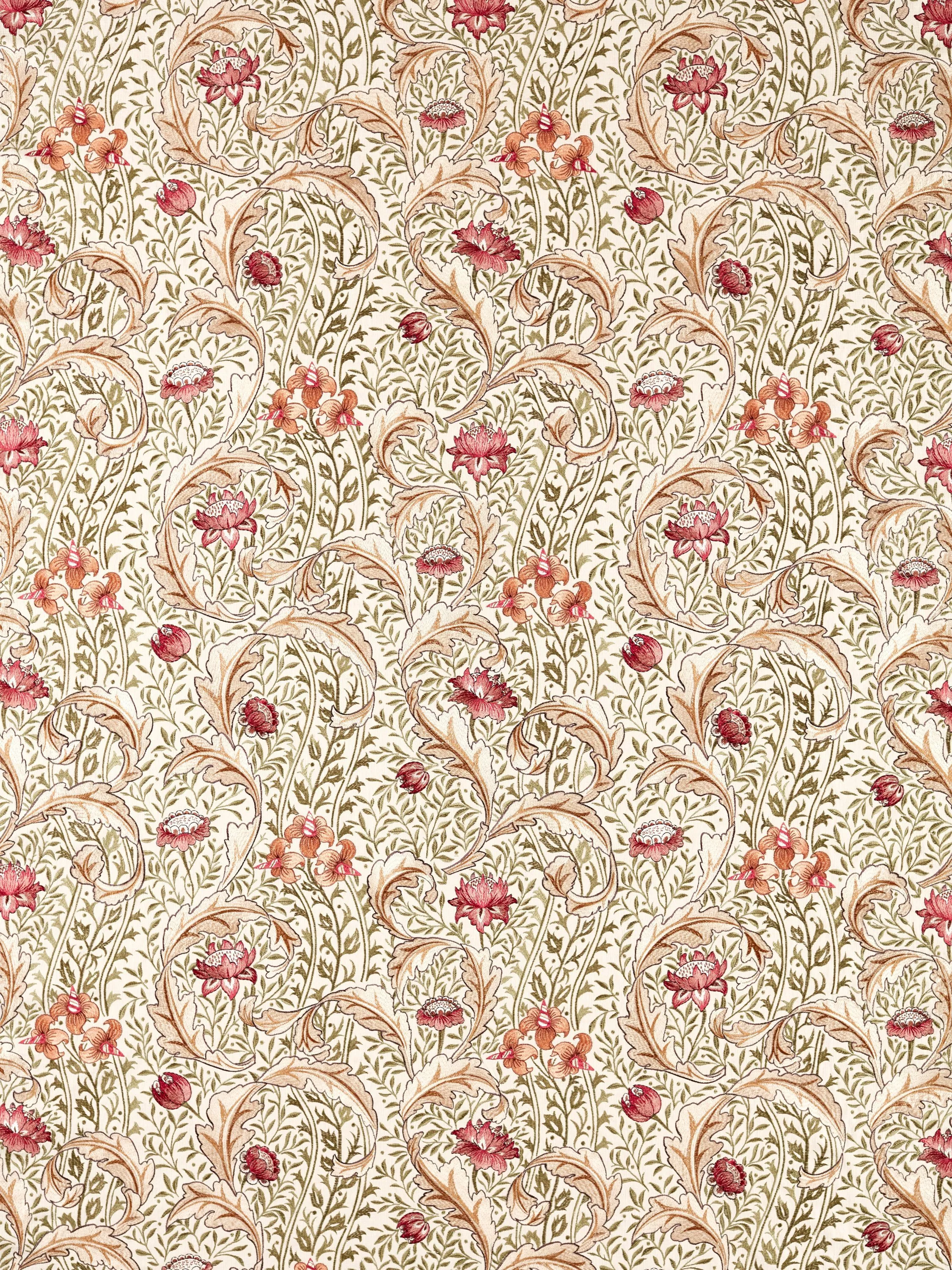 Rose / Bayleaf  - Out of stock