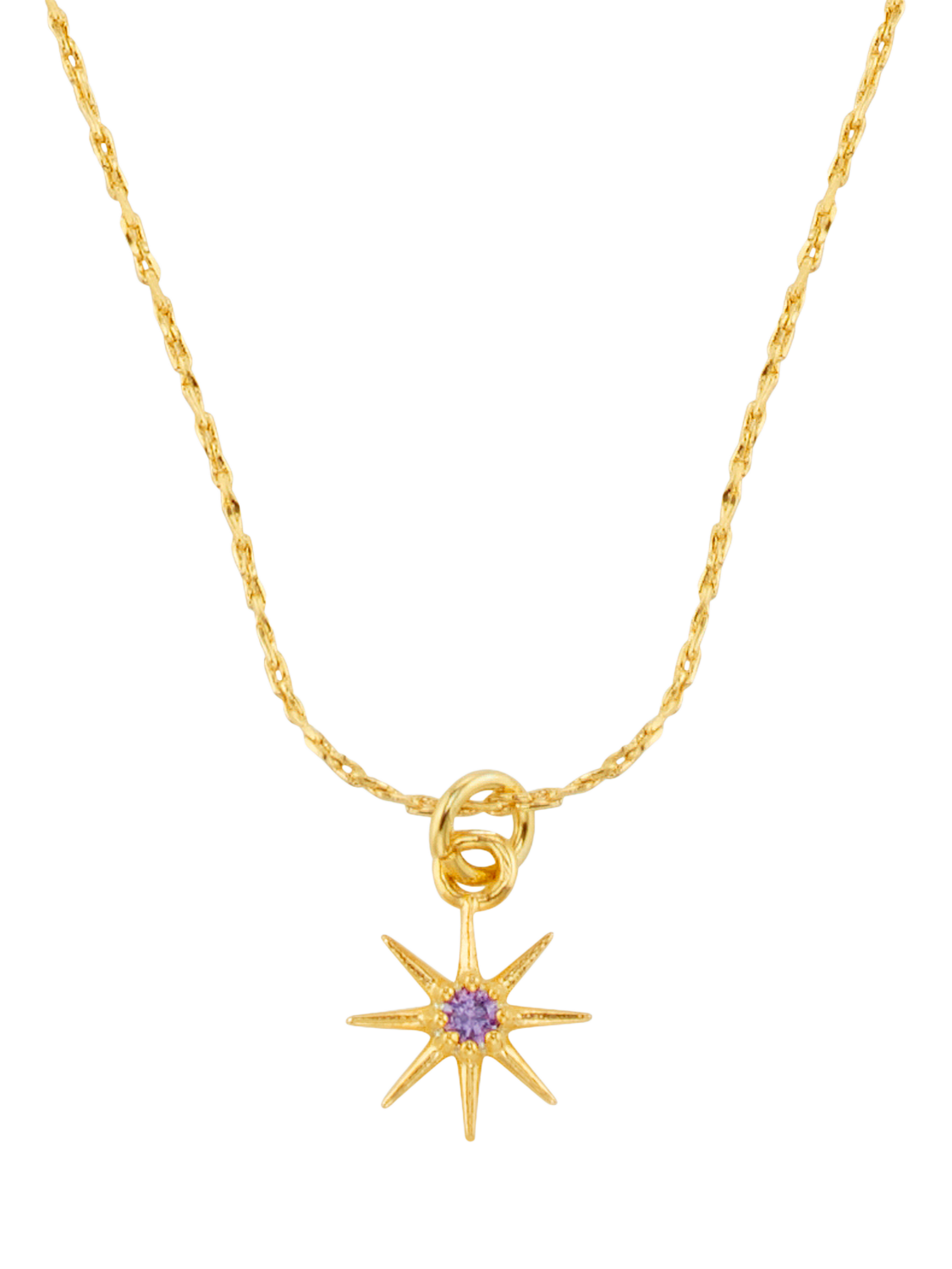 Product image 2 of 3, which shows Orelia Birthstone Amethyst Necklace, February