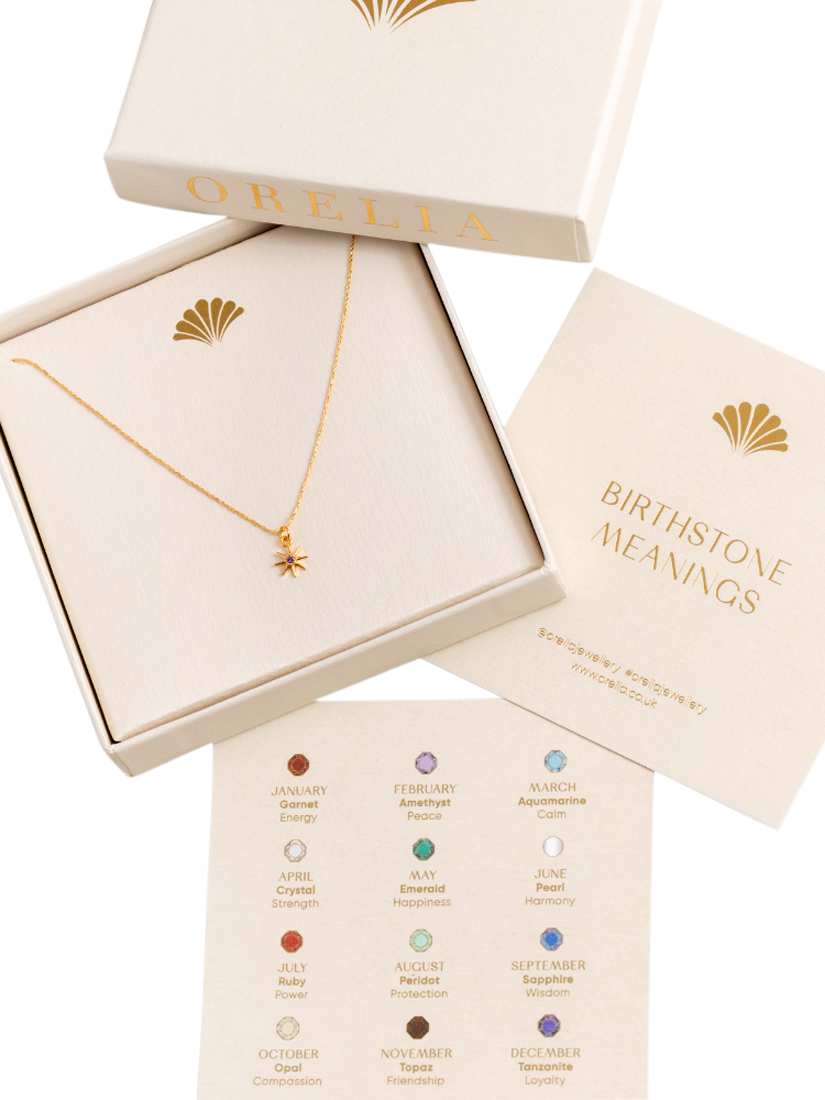 Product image 3 of 3, which shows Orelia Birthstone Amethyst Necklace, February