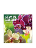 Royal Botanic Gardens, Kew Photographs 2026 Calendar, Multi