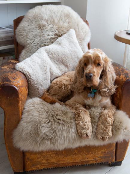 The Small Home Sheepskin Rug, Natural - view 2, Nautral
