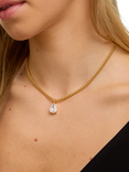 Jon Richard Cubic Zirconia Pear Drop Necklace, Gold