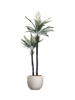 Vistafolia Artificial Palma Gemela Palm Tree in Pot, 210cm, Green, Green