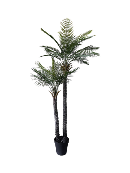 Vistafolia Outdoor Artificial Palma Gemela Palm Tree, 2.1m, Green, Green