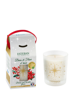 Esteban Berries & Winter Flower Scented Candle, 460g