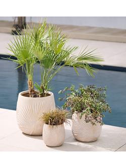 Kaemingk Axel Leaf Ceramic Effect Outdoor Planters, Set of 3, Natural - view 2, Natural