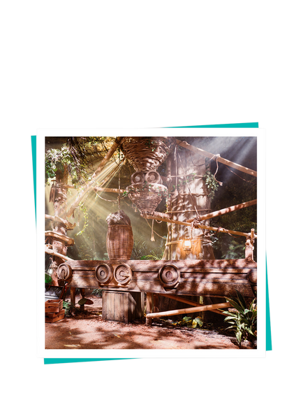 Buyagift The Paddington Bear Experience for 2 Adults & 2 Children Gift Experience - view 2, Multi