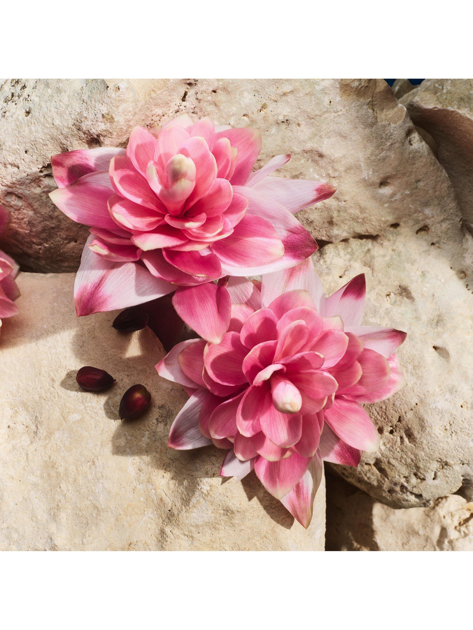 Product image 5 of 6, which shows Dolce & Gabbana Light Blue Capri In Love Eau de Parfum, 50ml