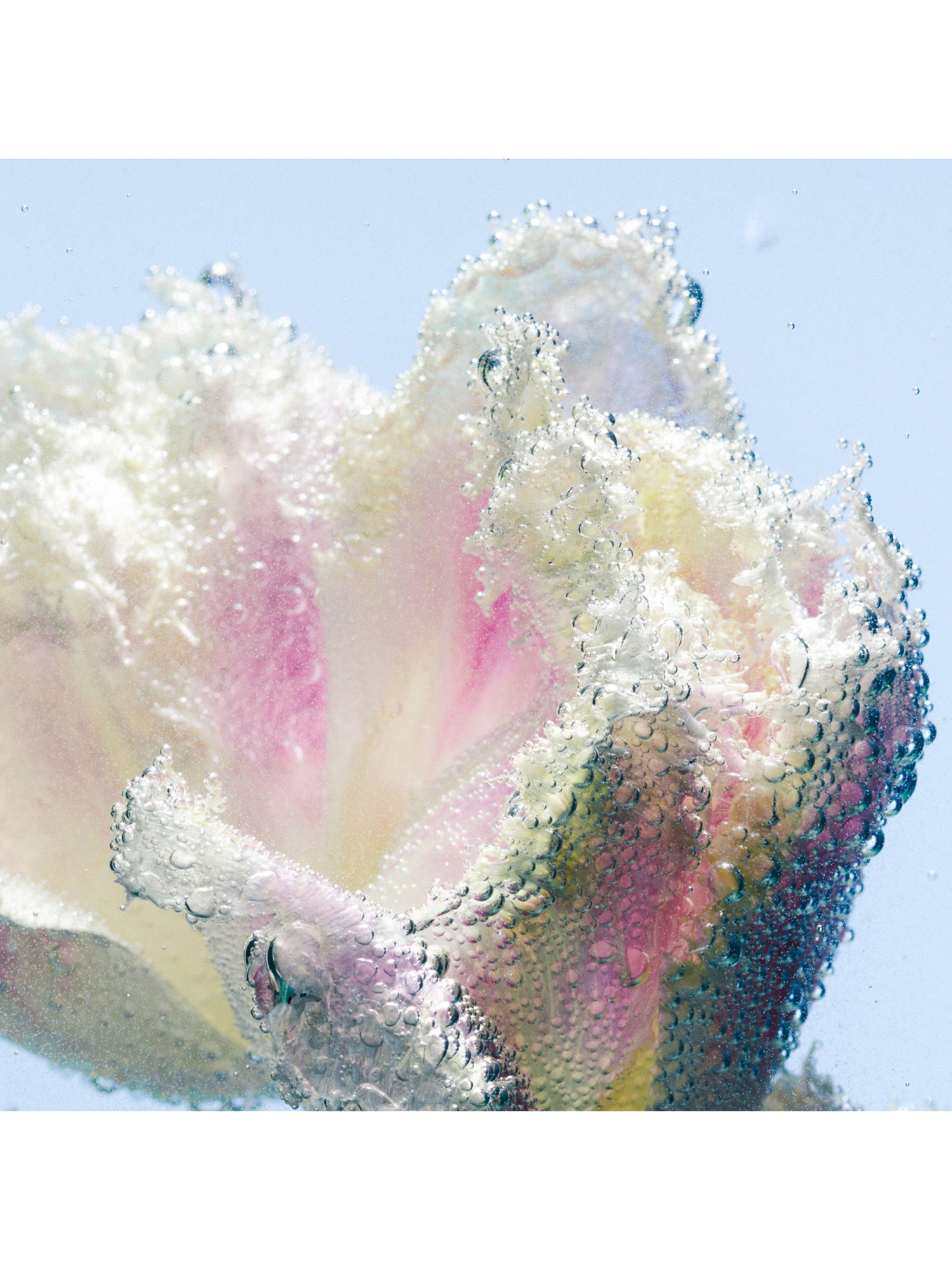 Product image 2 of 2, which shows Byredo Tulipmania Hand Wash Refill, 450ml