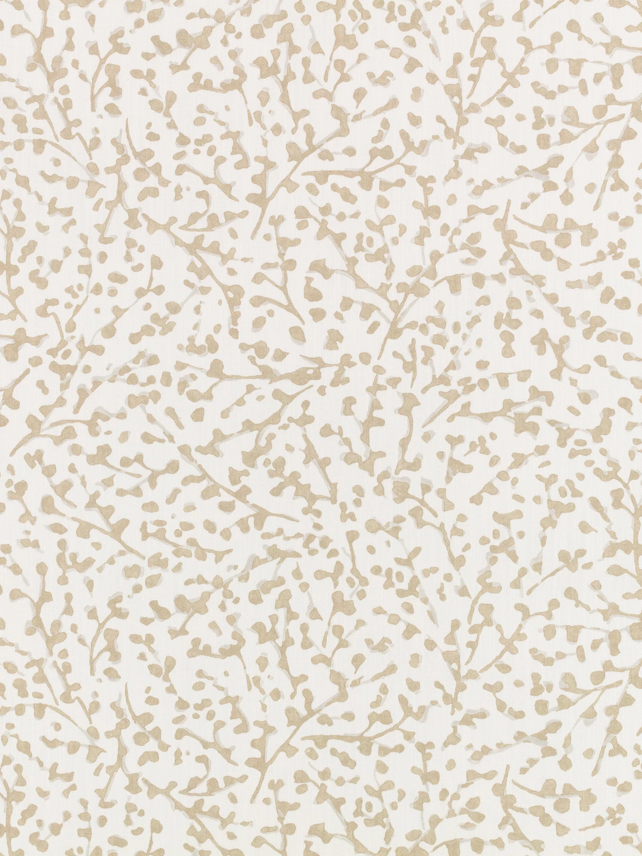 Almond  - Out of stock